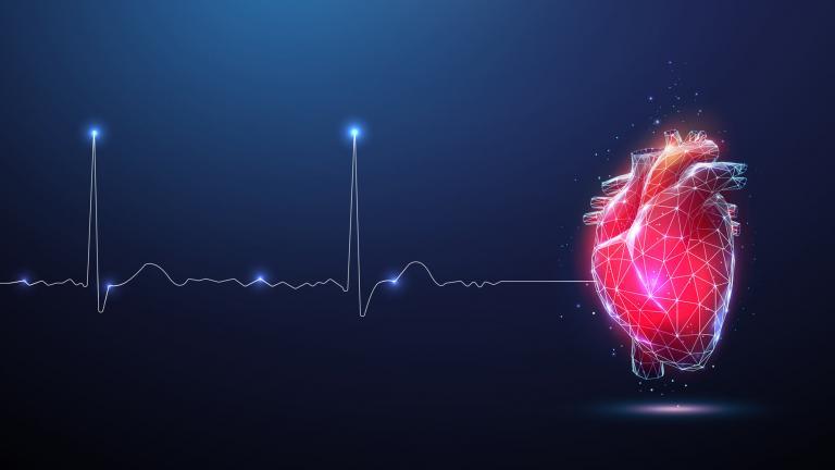 A Heart Rate Line going to a 3D Heart