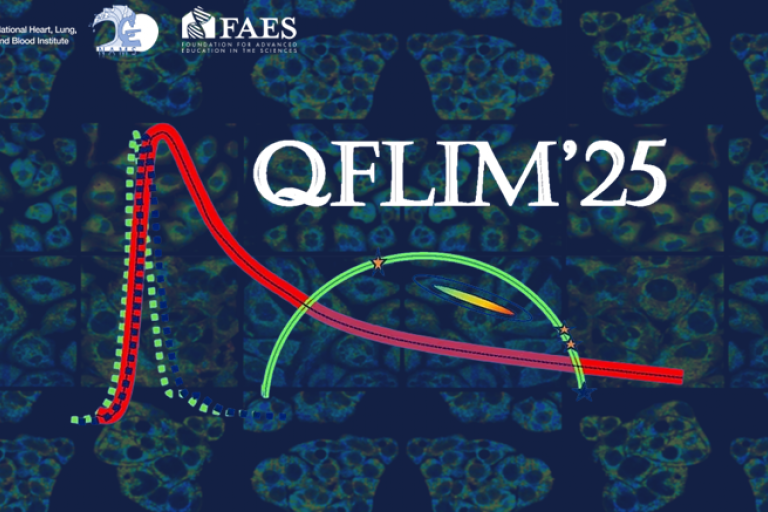 logo for 2025 Quantitative Fluorescence Lifetime Microscopy meeting