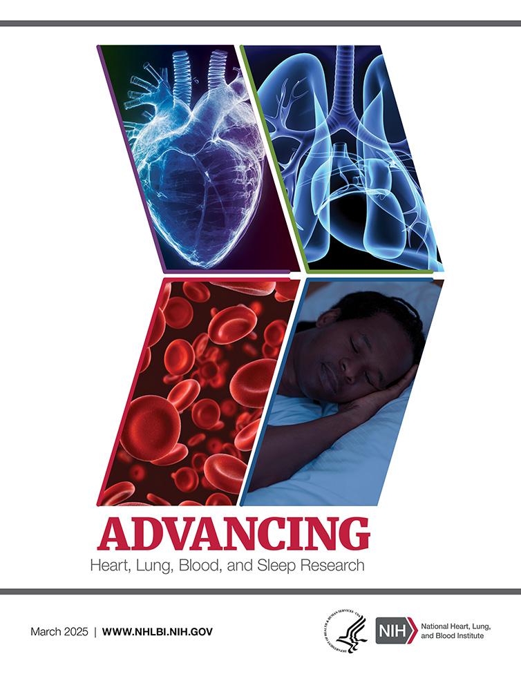 Cover of the Advancing Heart, Lung, Blood, and Sleep Research brochure. Image of red blood cells and lungs in black and white. Image of heart in red.