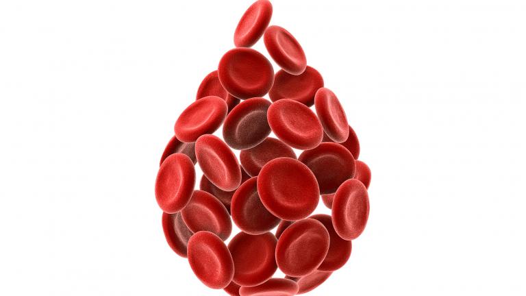 A 3-D illustration of round red blood cells formed into the shape of a blood drop. The cells are shown against a white background.