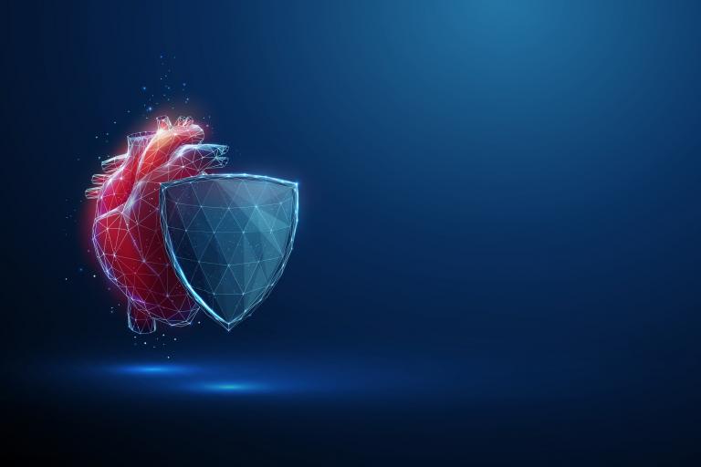 A concept for a shield is shown in front of a 3D heart. 